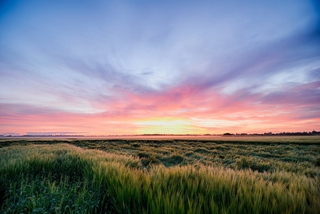 Zonsopkomst Bargerveen