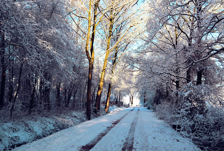 Winters landweggetje 2