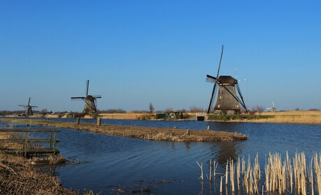 Kinderdijk 5