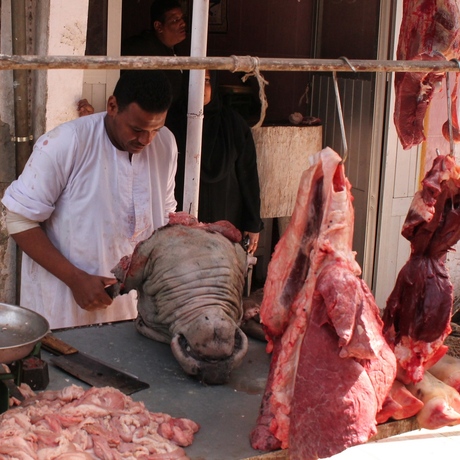 2012-02 straatfoto's Egypte 07