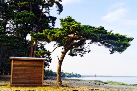 Åhus beach