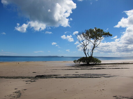 Fraser Island