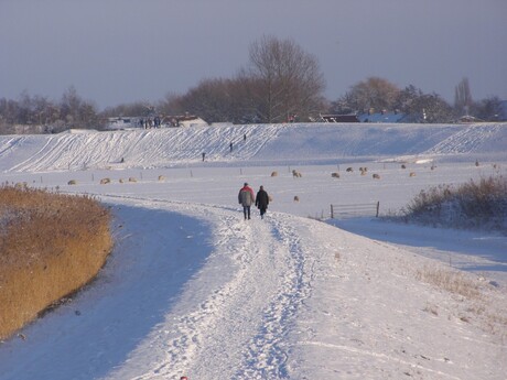 wandelen door het winterslandschap