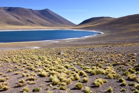 Laguna Miscanti