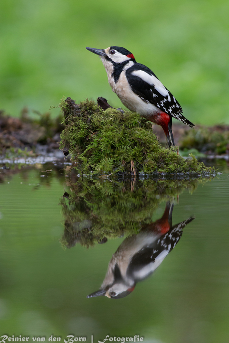 Spiegeltje...