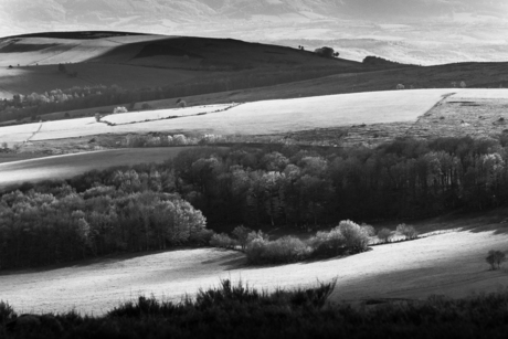 Aubrac