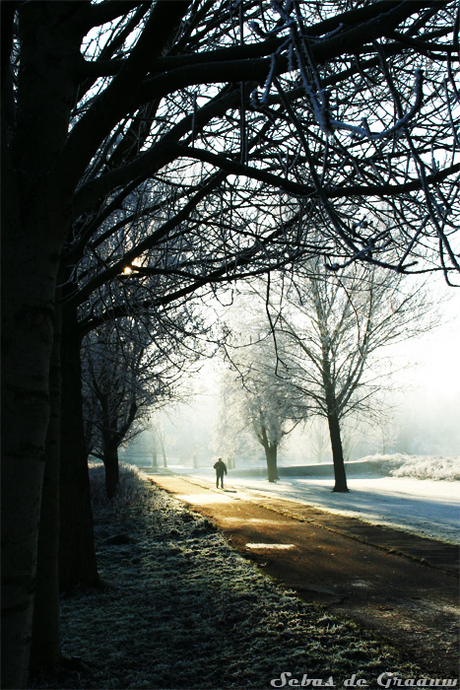 Ochtendwandeling