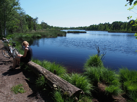 Lakeside