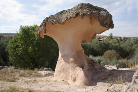 paddenstoel van lava