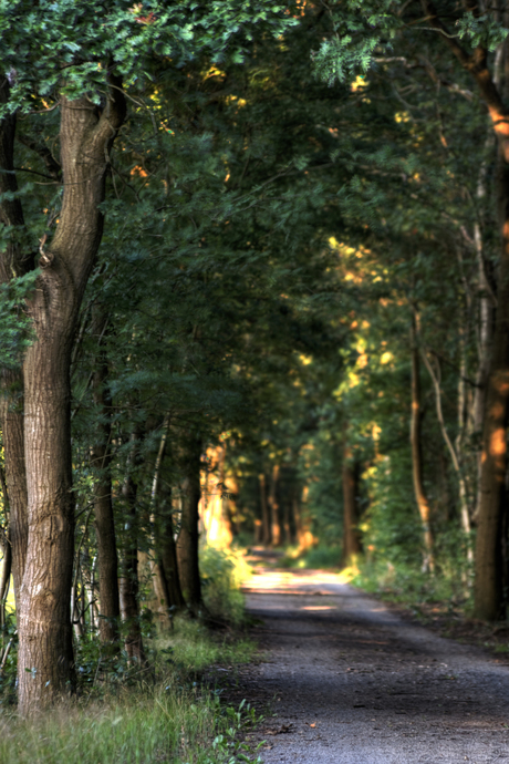 Wandelpad Naardermeer