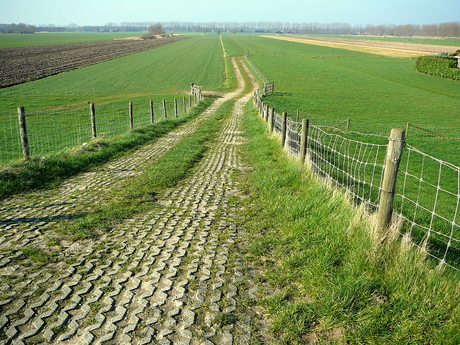 Lekdijk