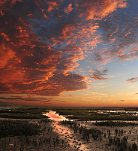 zonsondergang Waddenzee