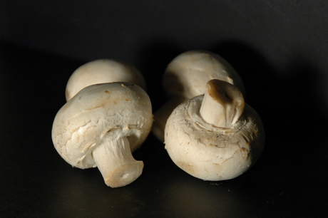 Champignons