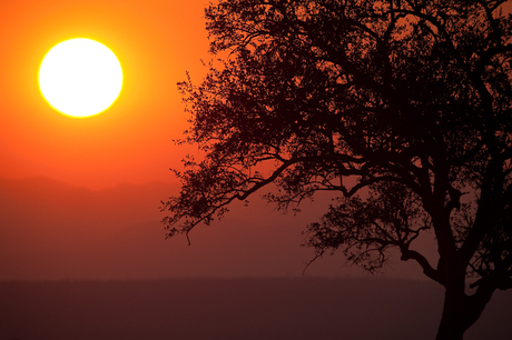 Sunset at Mikumi