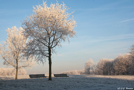 Leuk winter landschapje