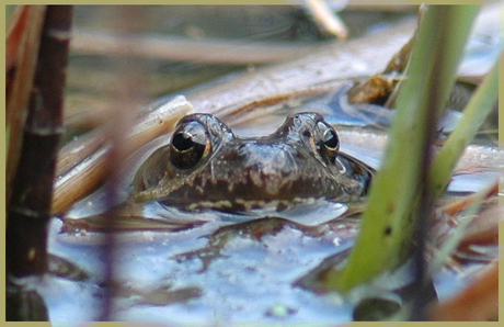 Heeft ze me gezien of.....