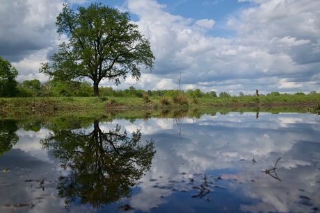 Reflectie