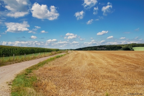 Limburgs landschap