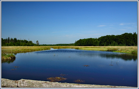 Natuurgebied De Blauwe Steen