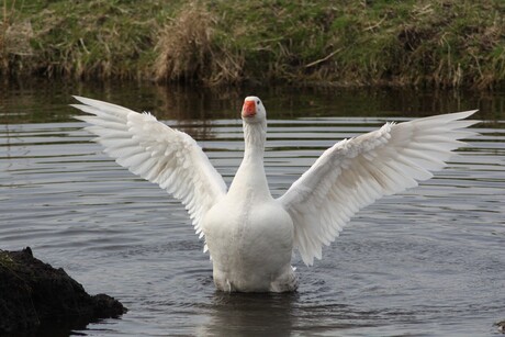 Het is lente!!!