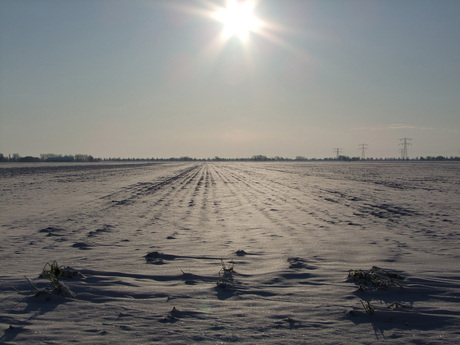 Sneeuw op het akkerland