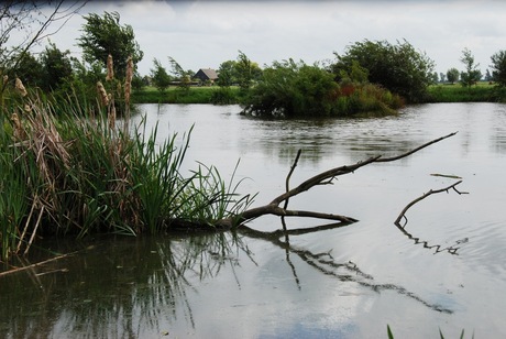 waterzijde