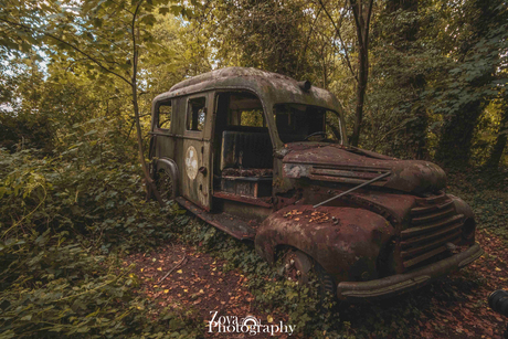 Ambulance in the woods