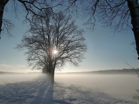 Zonsopgang met mist in de sneeuw