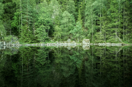 Glaskogen, Zweden