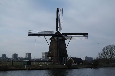 molen