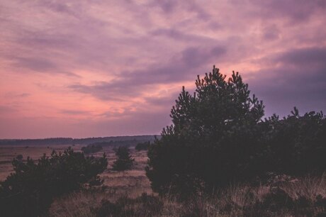 Roodpaarse zonsondergang bij Hoog Soeren