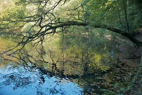 herfst