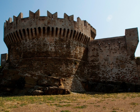 Populonia