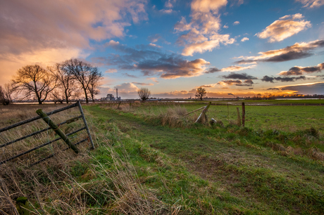 Wetlands near Nijmegen, The Netherlands