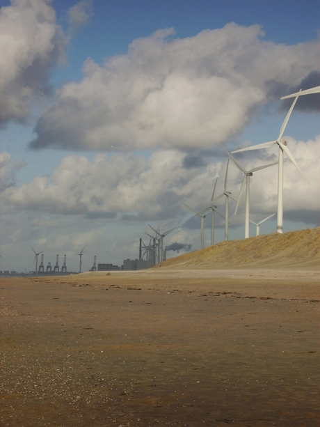 Windmolen maasvlakte