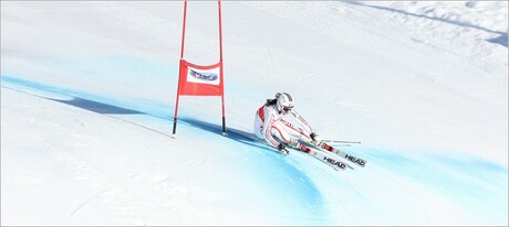 skier in reuzenslalom