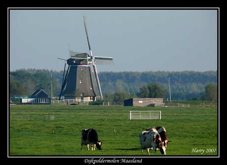 Hollands Landschap