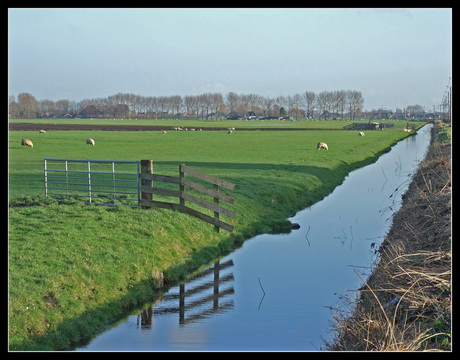 watertje in de polder