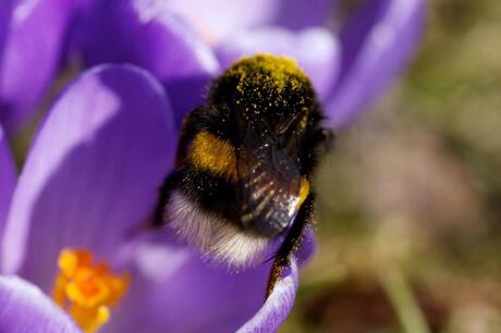 De lente is definitief begonnen!