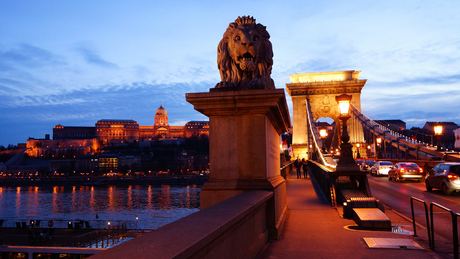 de Kettingbrug in Budapest met wakende leeuw