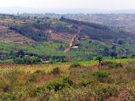 Rwanda heuvels