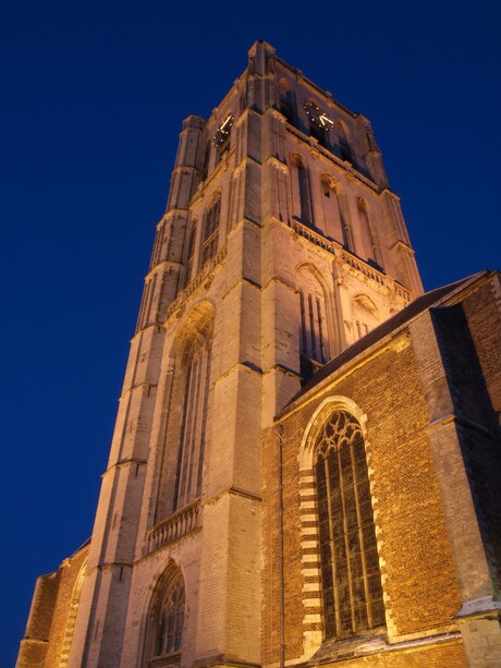 Brielse Dom