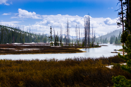 wonderen der Natuur... Yellowstone USA