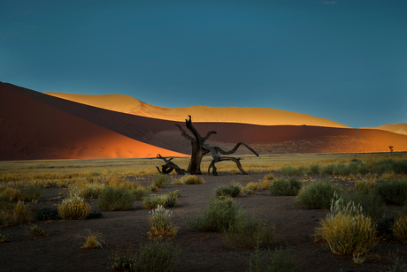 Sossusvlei in Namibië