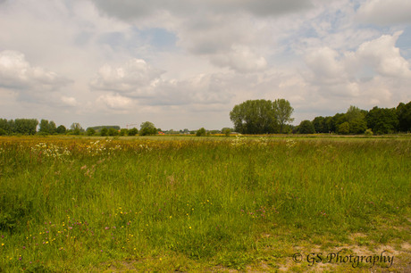 Eindeloze horizon