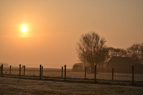 Lente morgen