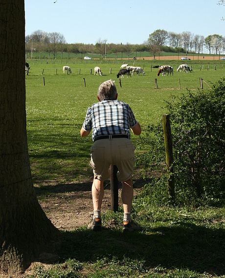 koeen fotograferen