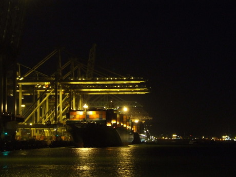 Maasvlakte I