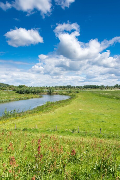 Gras en lucht