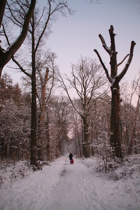 Sneeuw Venlo Zwarte water